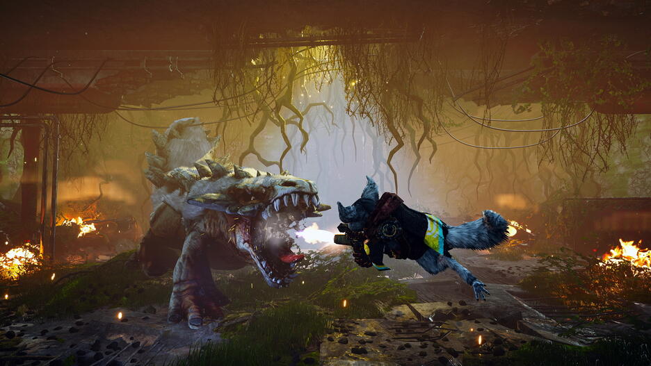 Thumbnail 10