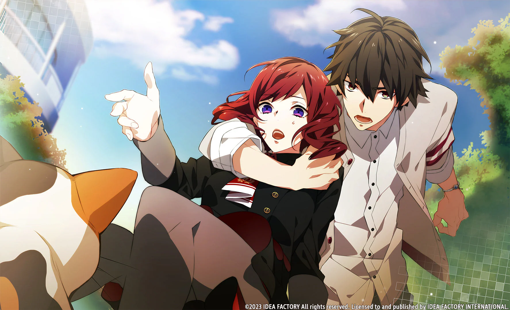 Thumbnail 12