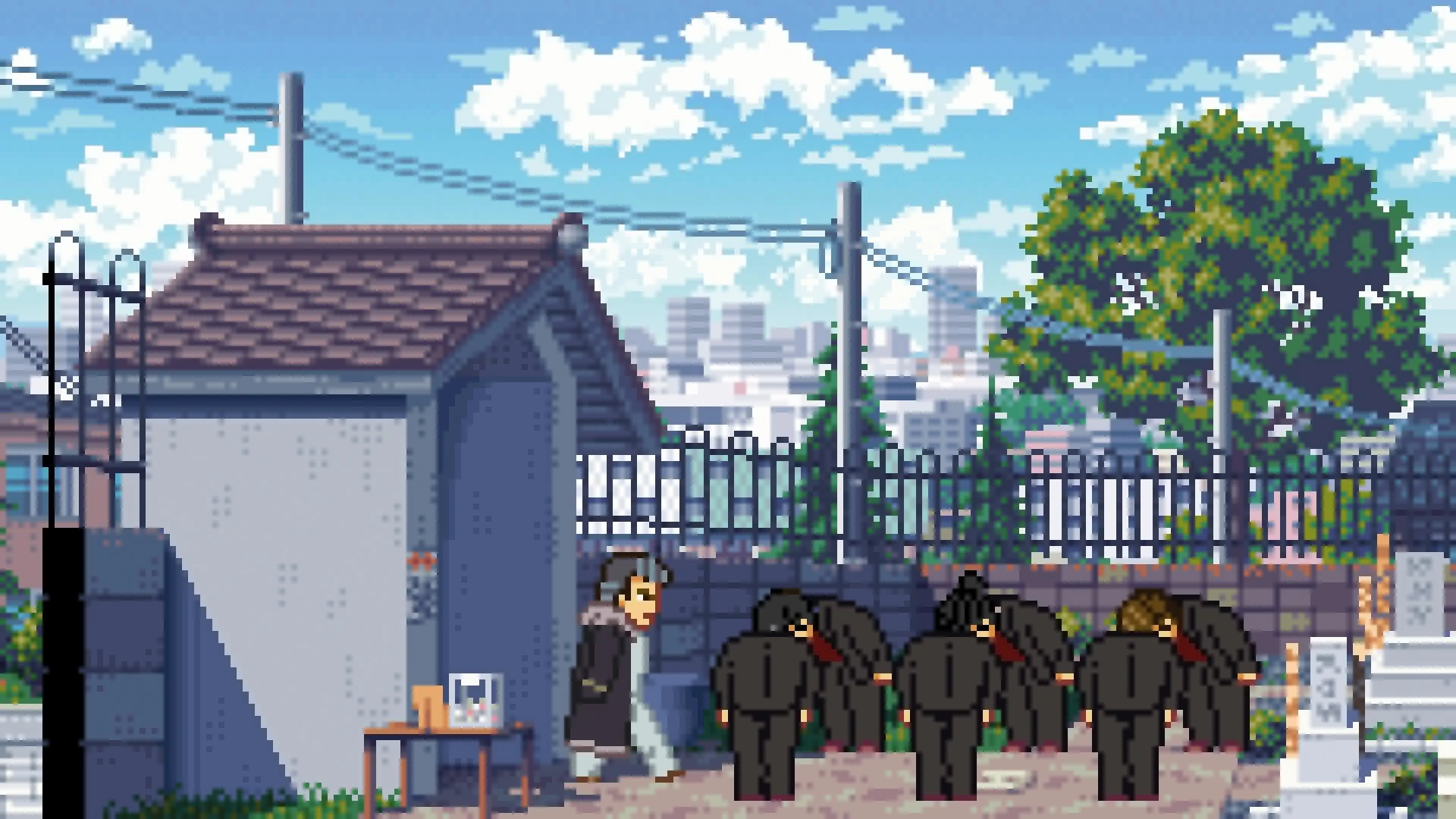 Thumbnail 13