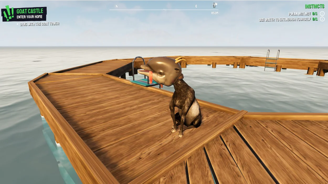 Thumbnail 15