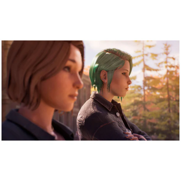 Thumbnail 8