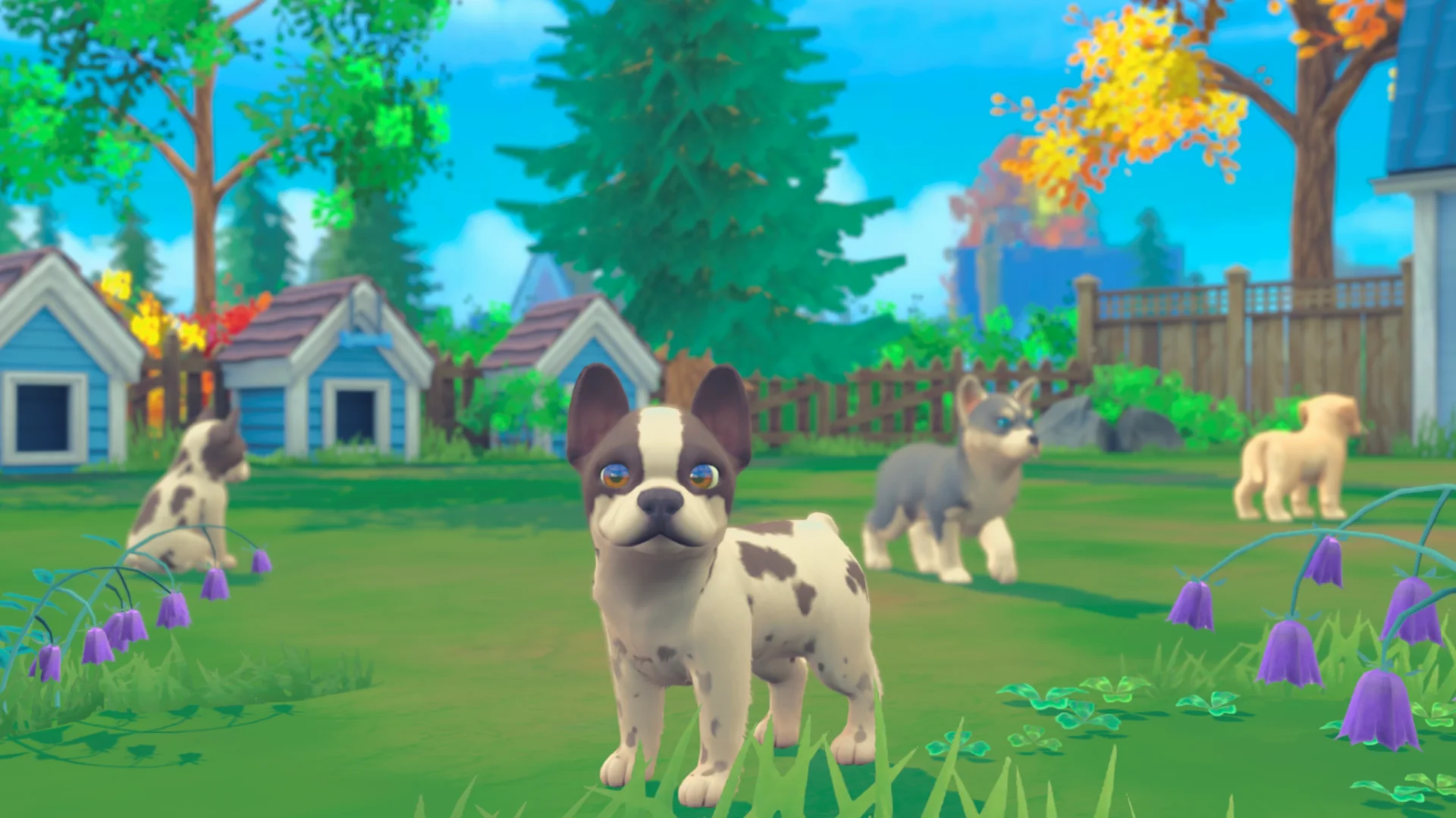Thumbnail 7