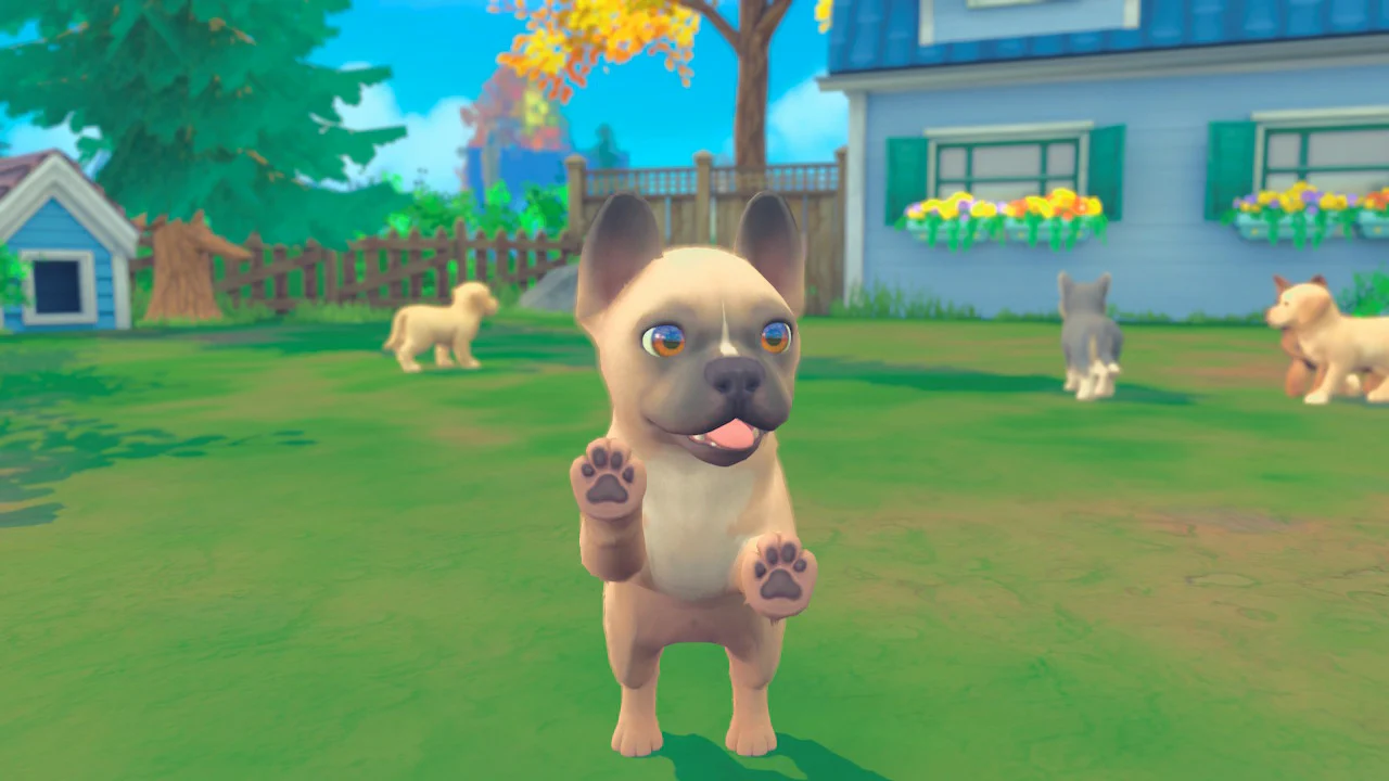 Thumbnail 8
