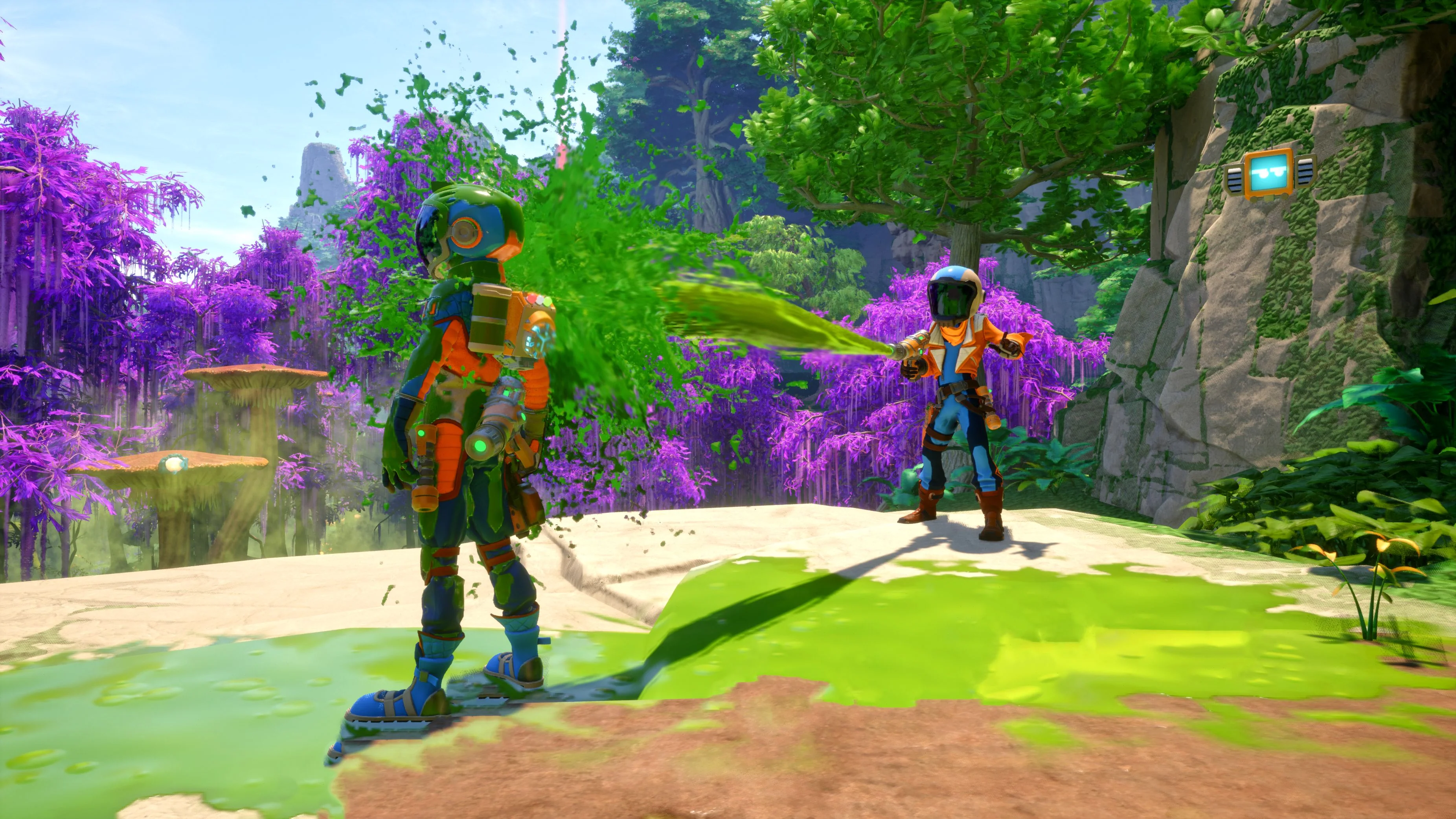 Thumbnail 10
