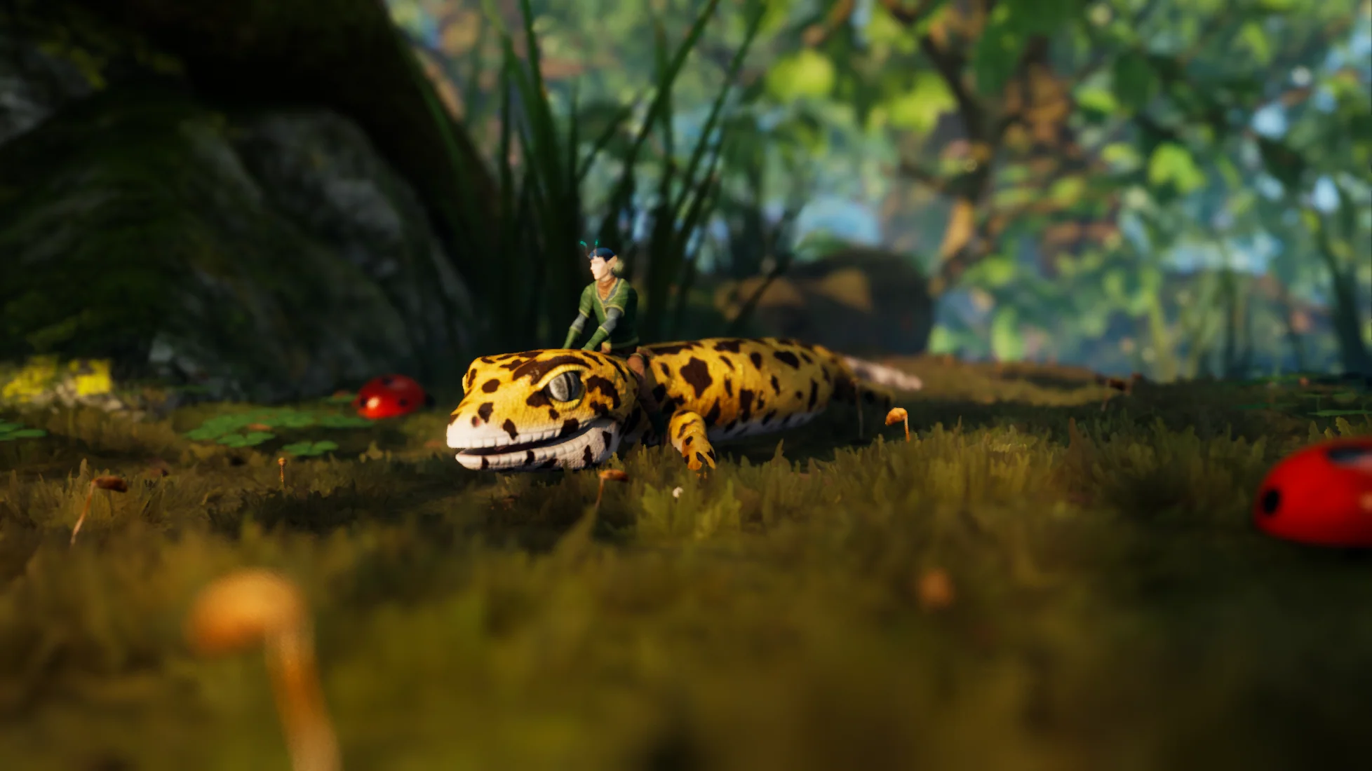 Thumbnail 5