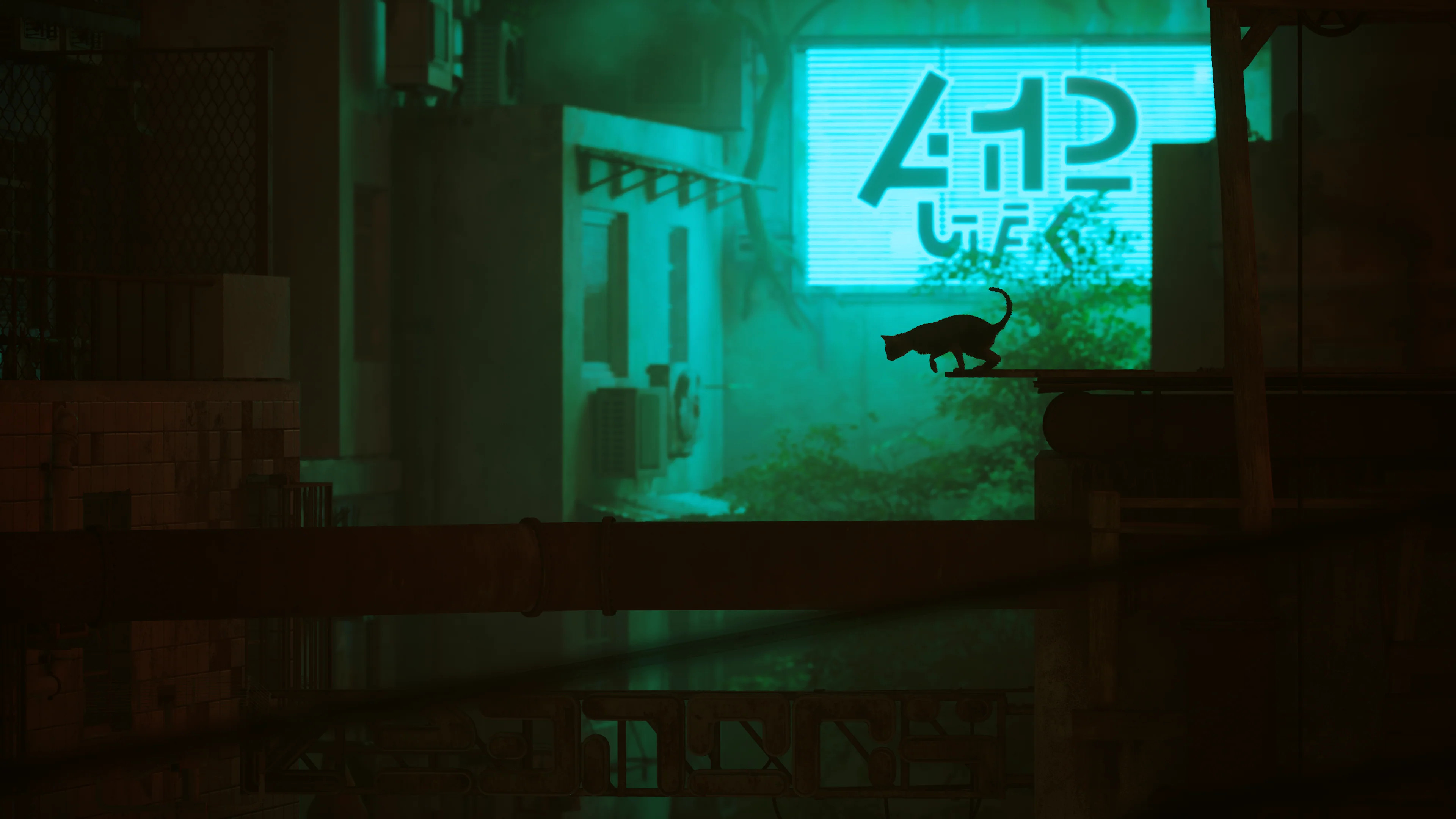 Thumbnail 19