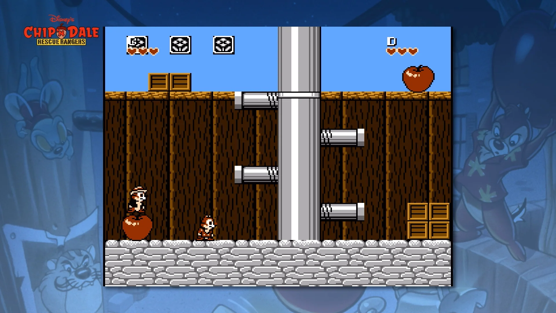 Thumbnail 5