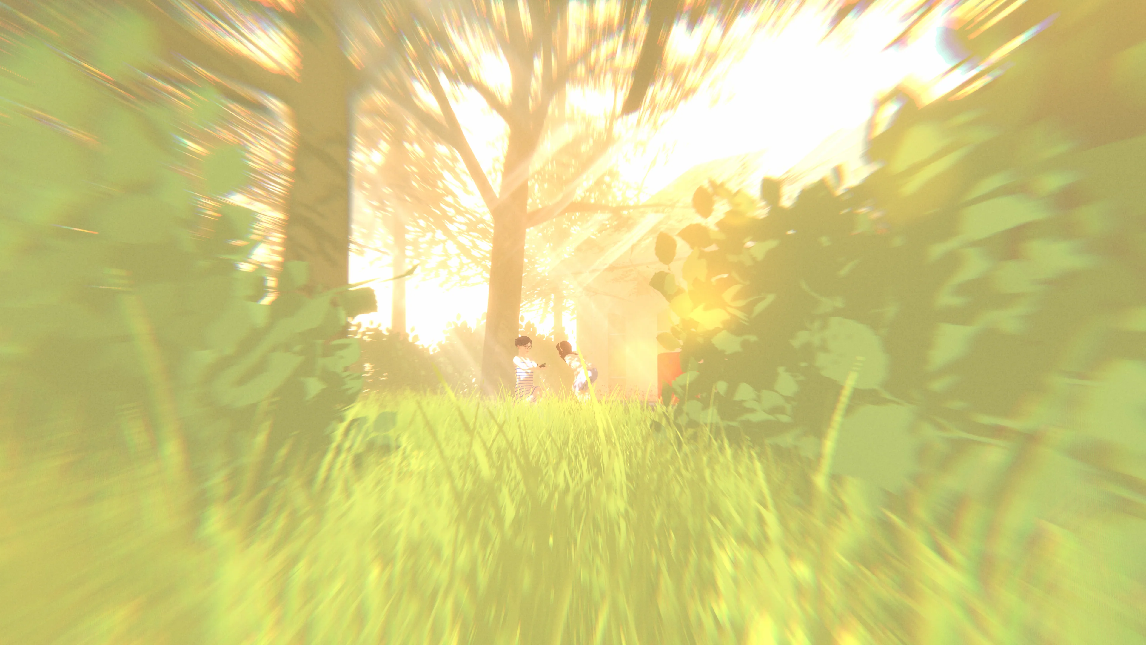 Thumbnail 29